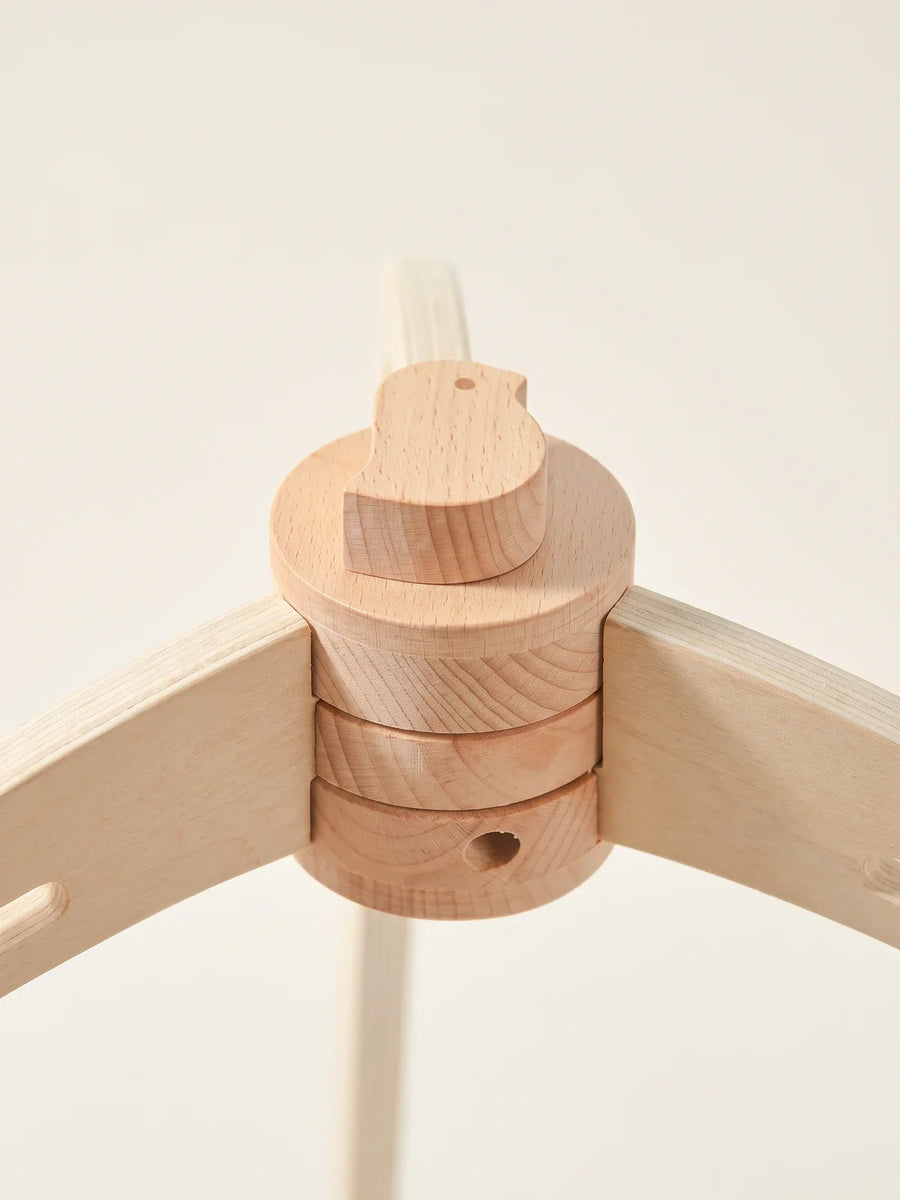 Détail du bois de l’arche